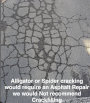 Spider cracking not a candidate for crack filling. Use asphalt repair instead
