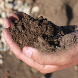 Topsoil